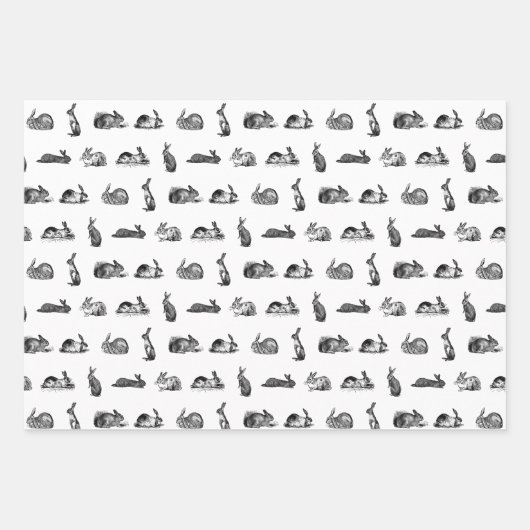 Antiek konijnen  kunst KLANTENKLEUR Inpakpapier Vel (Voorkant)