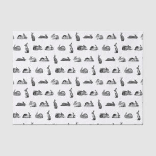 Antiek konijnen  kunst KLANTENKLEUR Tissuepapier