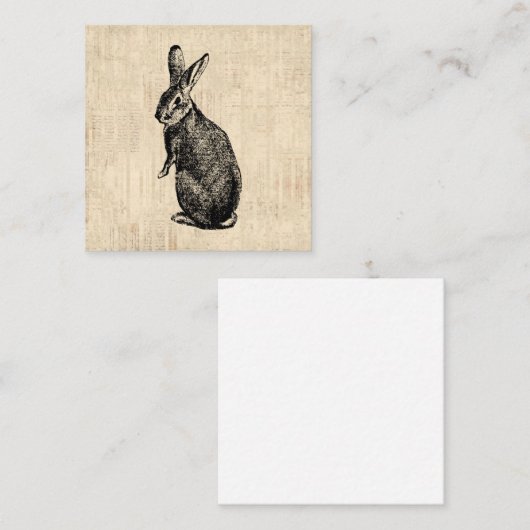 Antiek konijnenillustratie Bunny Art met script Informatiekaartje (Voorkant / Achterkant)