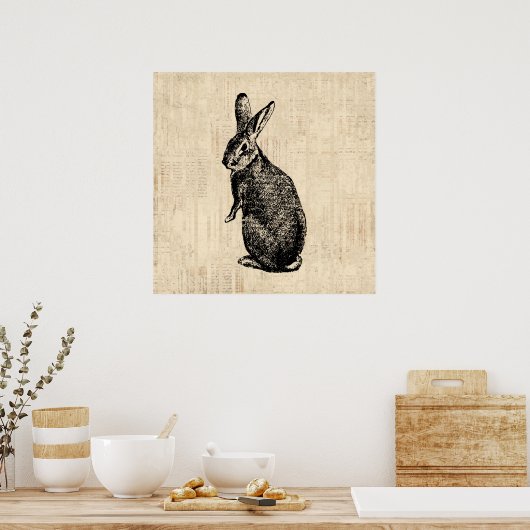 Antiek konijnenillustratie Bunny Art met script Poster (Keuken)
