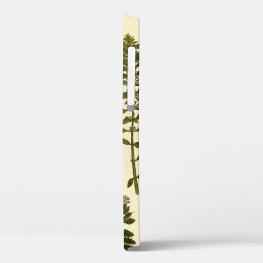 Antiek kookplaat Case-Mate iPhone case (Achterkant / Links)