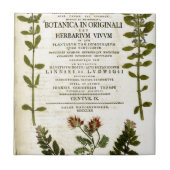 Antiek kookplaat tegeltje (Voorkant)