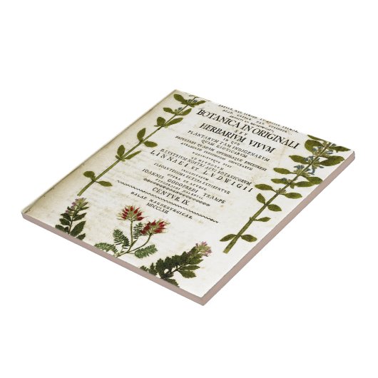 Antiek kookplaat tegeltje (Zijkant)