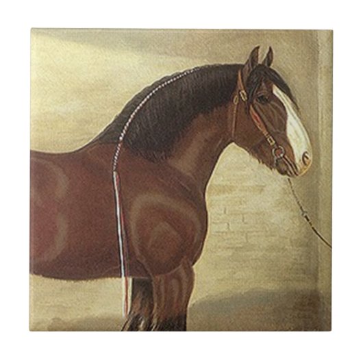 Antiek Kunst Bay Clydesdale Draft Horse Tile Trive Tegeltje (Voorkant)