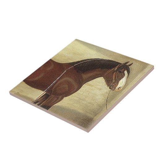 Antiek Kunst Bay Clydesdale Draft Horse Tile Trive Tegeltje (Zijkant)