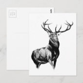 Antiek kunsttekening handgemaakte natuur briefkaart (Voorkant / Achterkant)