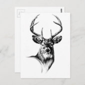 Antiek kunsttekening handgemaakte natuur briefkaart (Voorkant / Achterkant)