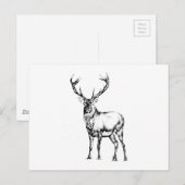 Antiek kunsttekening handgemaakte natuur briefkaart (Voorkant / Achterkant)