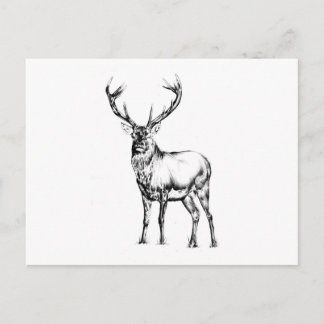 Antiek kunsttekening handgemaakte natuur briefkaart