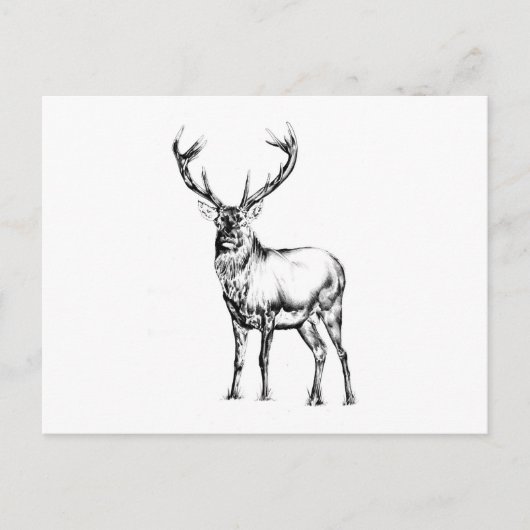 Antiek kunsttekening handgemaakte natuur briefkaart (Voorkant)