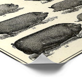 Antiek landbouwhuisdieren Poster (Hoek)