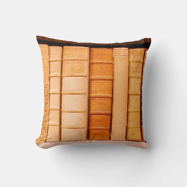 Antiek leder uit de 17e eeuw - piloot kussen (Voorkant)