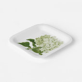 Antiek Licht Groen en Wit Hydrangea Blossom Papieren Bordje (Gebogen)