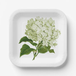Antiek Licht Groen en Wit Hydrangea Blossom Papieren Bordje