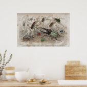 Antiek lichtdruk poster (Keuken)