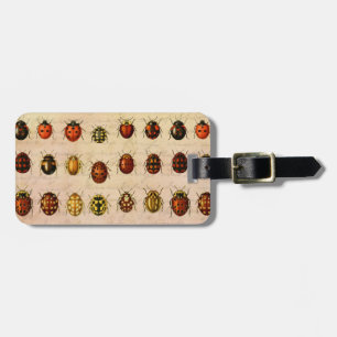 Antiek Lieveheersbeestje Exemplaar Patroon Antieke Bagagelabel