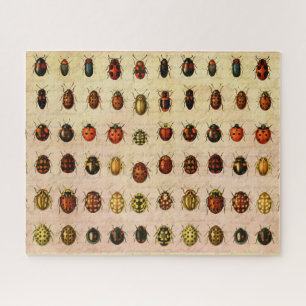 Antiek Lieveheersbeestje Exemplaar Patroon Antieke Legpuzzel