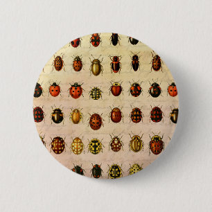 Antiek Lieveheersbeestje Exemplaar Patroon Antieke Ronde Button 5,7 Cm