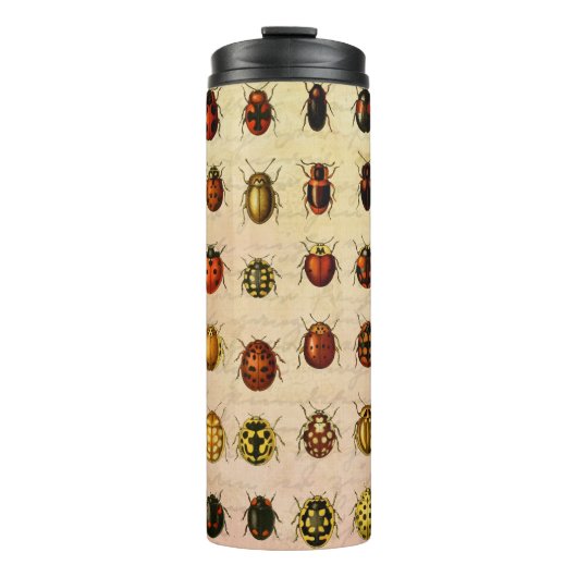 Antiek Lieveheersbeestje Exemplaar Patroon Antieke Thermosbeker (Voorkant)