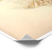 Antiek lithograaf print Iris Nymph (Hoek)