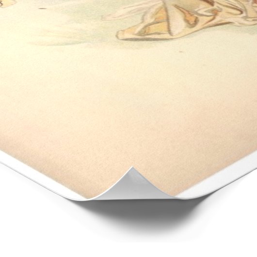 Antiek lithograaf print Iris Nymph (Hoek)