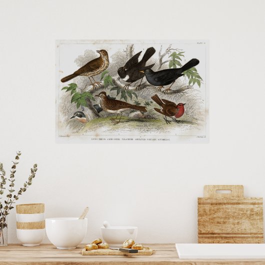 Antiek lithograafdruk poster (Keuken)