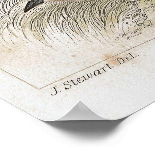 Antiek lithograafdruk poster (Hoek)