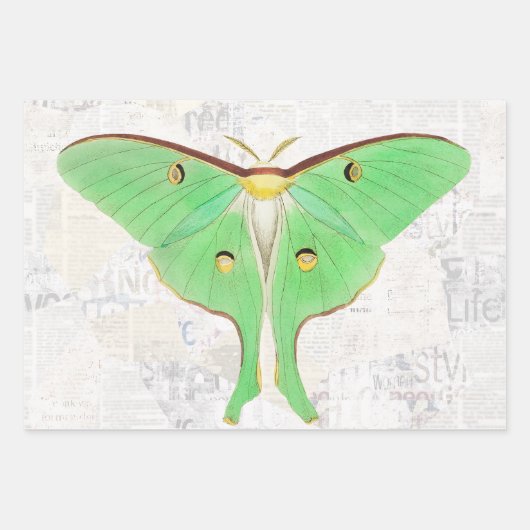  Antiek - losblad van de vlindervlinder Inpakpapier Vel (Voorkant 2)