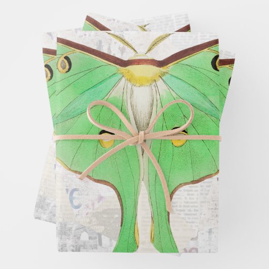  Antiek - losblad van de vlindervlinder Inpakpapier Vel (In situ)