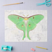 Antiek - losblad van de vlindervlinder Tissuepapier (Craft)