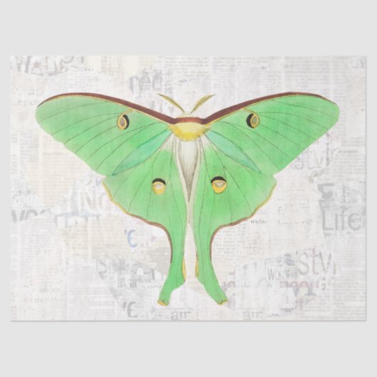Antiek - losblad van de vlindervlinder Tissuepapier (Voorkant)
