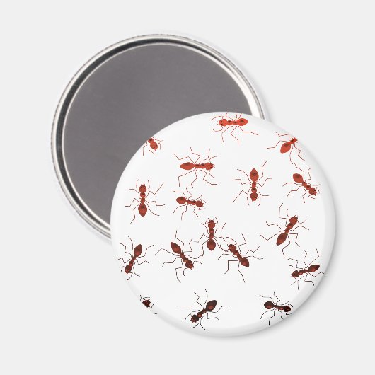 Antiek. Magneet (Voorkant / Achterkant)