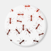 Antiek. Magneet (Voorkant)