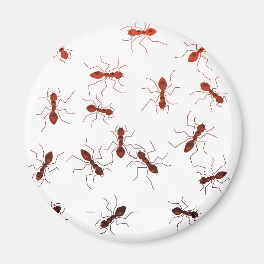 Antiek. Magneet (Voorkant)