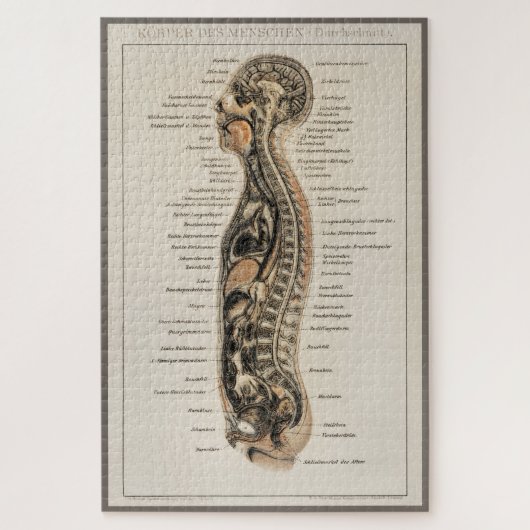 Antiek medisch anatomisch anatomisch diagram Legpuzzel (Verticaal)