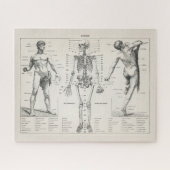 Antiek medisch anatomisch anatomisch diagram Legpuzzel (Horizontaal)