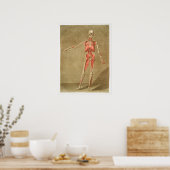  Antiek medisch anatomisch anatomisch diagram Poster (Keuken)