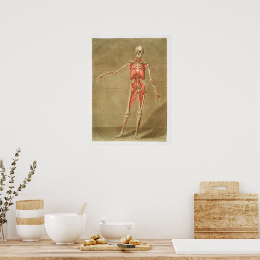  Antiek medisch anatomisch anatomisch diagram Poster (Keuken)