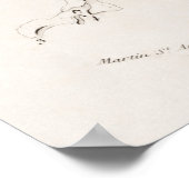 Antiek medisch skeleton anatomiediagram Poster (Hoek)