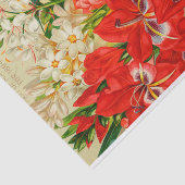 Antiek mei-bloemen van het Cataloguspapier van 189 Tissuepapier (Detail)