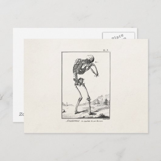  Antiek menselijk skelet Medische anatomie Briefkaart (Voorkant / Achterkant)