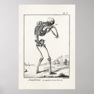  Antiek menselijk skelet Medische anatomie Poster