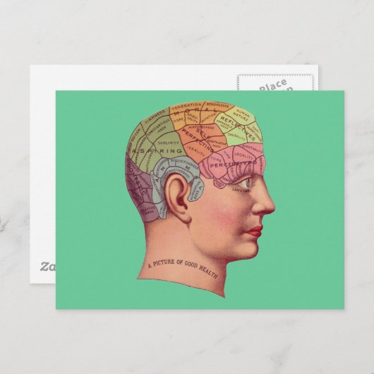 antiek Mind Brain Map Phrenologie hoofd Briefkaart (Voorkant / Achterkant)