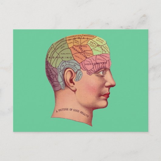 antiek Mind Brain Map Phrenologie hoofd Briefkaart (Voorkant)