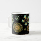 "Antiek" Mok van Diatom Coffee (Voorkant links)