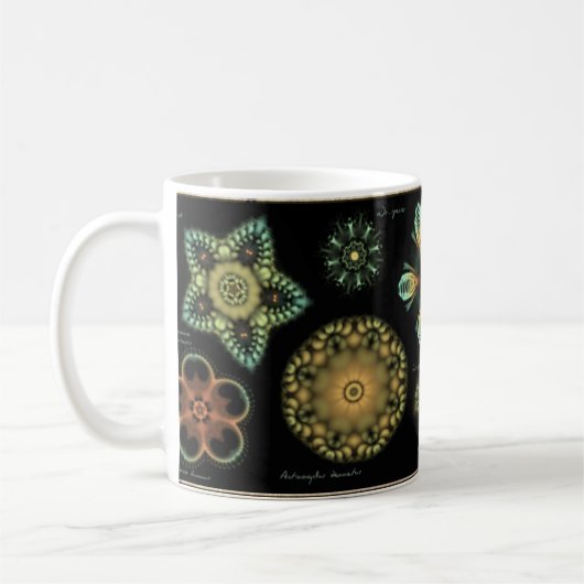 "Antiek" Mok van Diatom Coffee (Links)