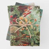  Antiek Natuur Bloemen regenwoud Inpakpapier Vel (In situ)