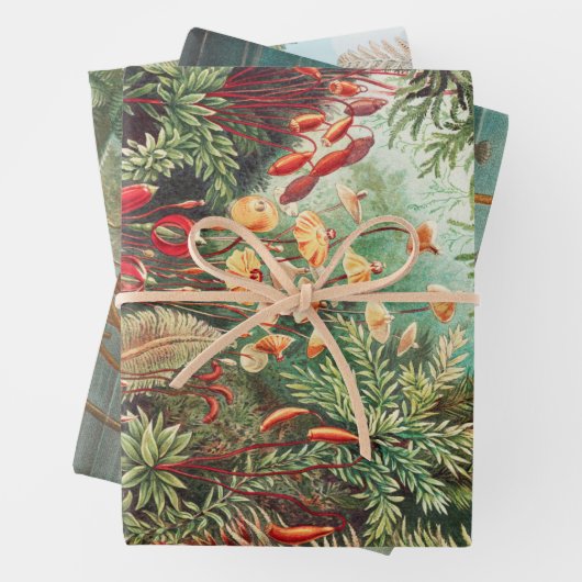 Antiek Natuur Bloemen regenwoud Inpakpapier Vel (In situ)