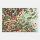 Antiek Natuur Bloemen regenwoud Inpakpapier Vel (Voorkant)