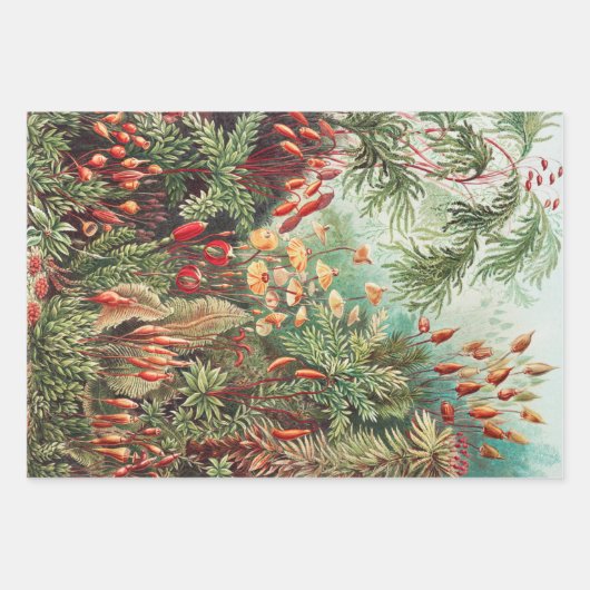  Antiek Natuur Bloemen regenwoud Inpakpapier Vel (Voorkant)